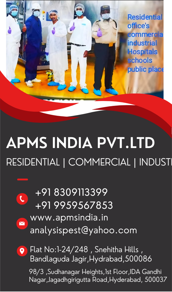 Presenting A Project